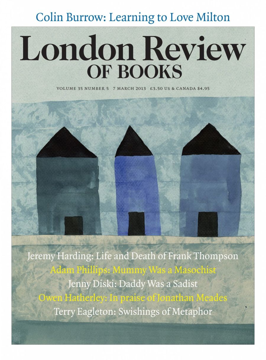 cover lrb 07 March 2013, three blue houses.